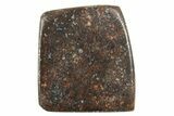 Stony Chondrite Cabochon ( grams) - Meteorite #238204-1
